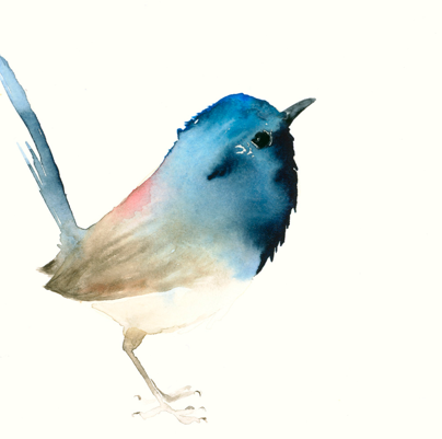 Grusskarte dunkelblauer Vogel Aquarell