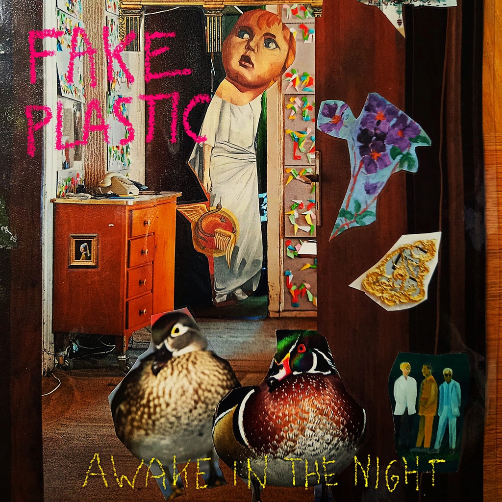 Awake In The Night