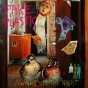 Awake In The Night