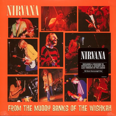 From The Muddy Banks Of The Wishkah