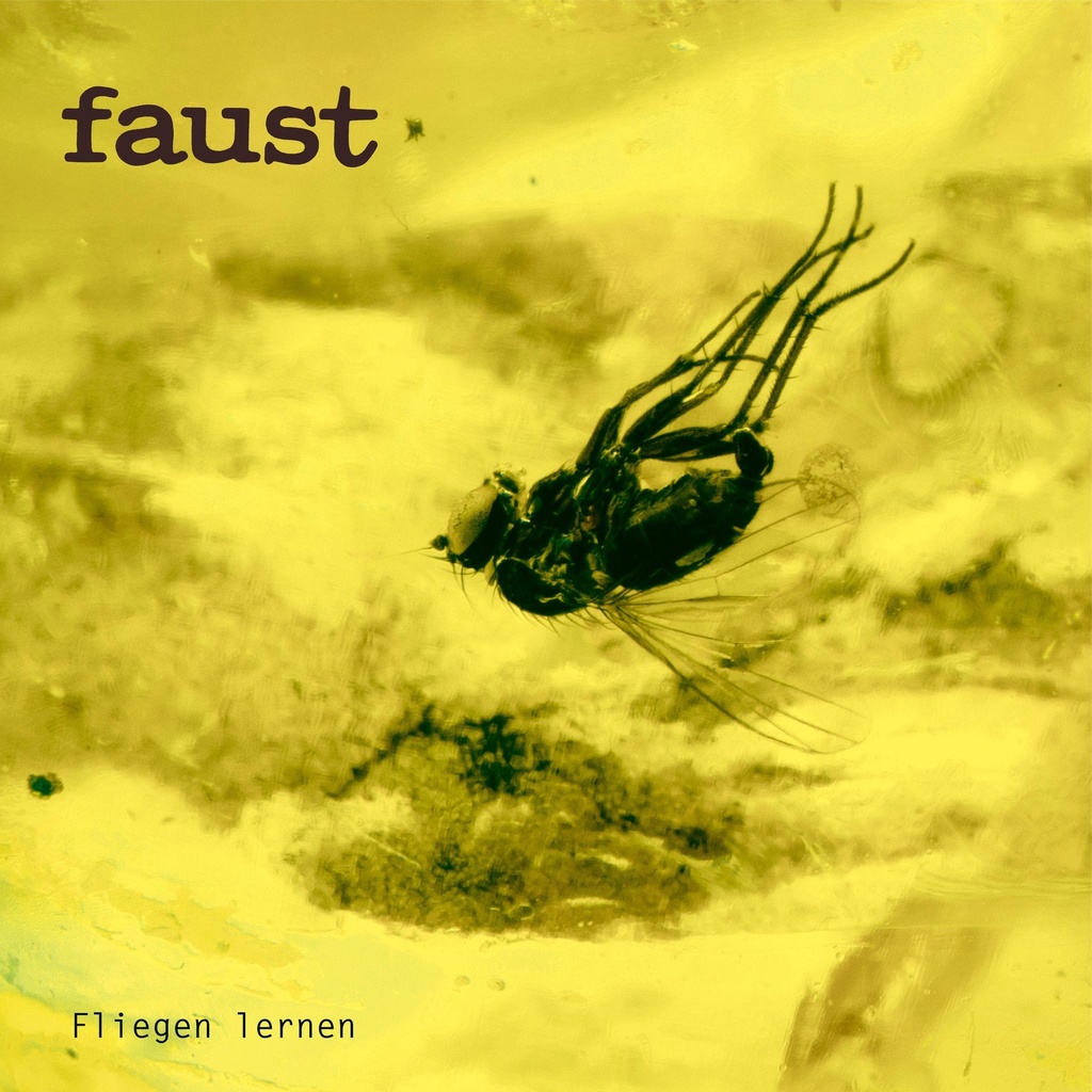 Fliegen lernen (Curated by Gunther Wüsthoff) 