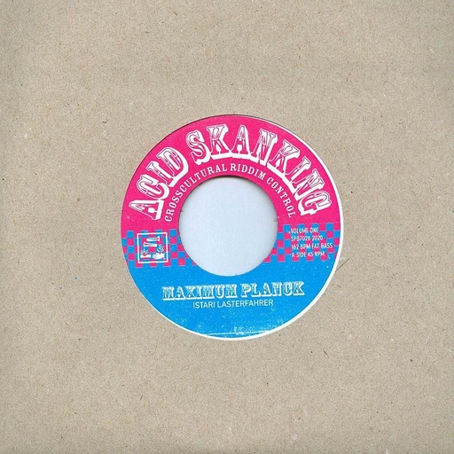 [HP005735] Acid Skanking Vol.1