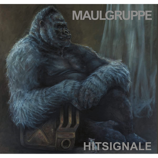 [HP005927] Hitsignale