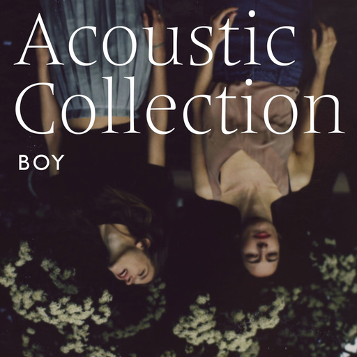 [HP004099] Acoustic Collection