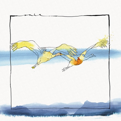 [PR/04351] Vola