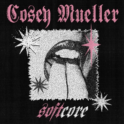 [PR/04355] Softcore