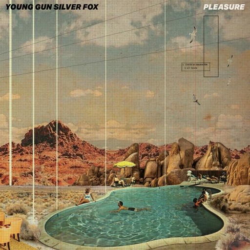 [PR/04455] Pleasure