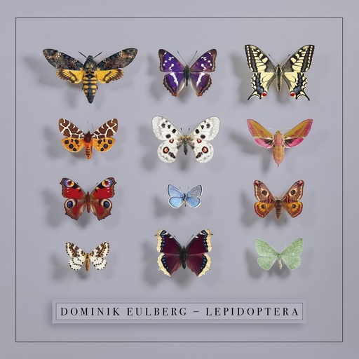 [PR/04732] Lepidoptera