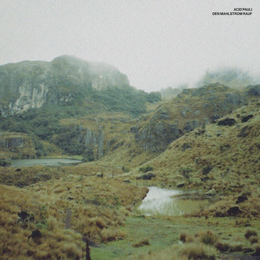 [PR/04869] Den Mahlstrom rauf 