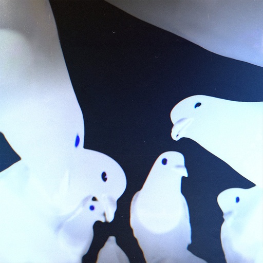 [PR/05065] Friedrich