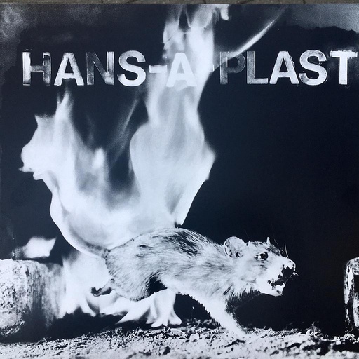 [HP004473] Hans-A-Plast